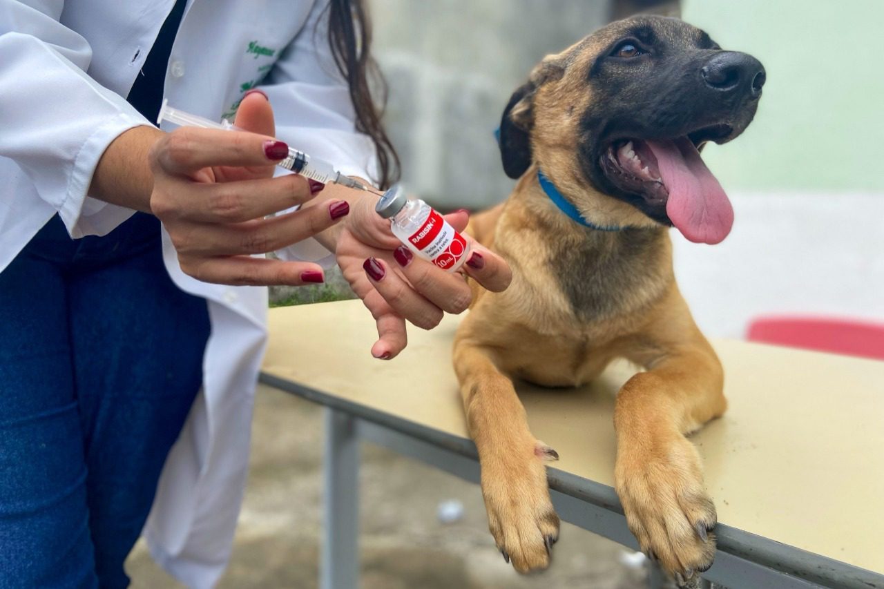 Campanha de Vacinação Antirrábica tem início neste sábado (23)