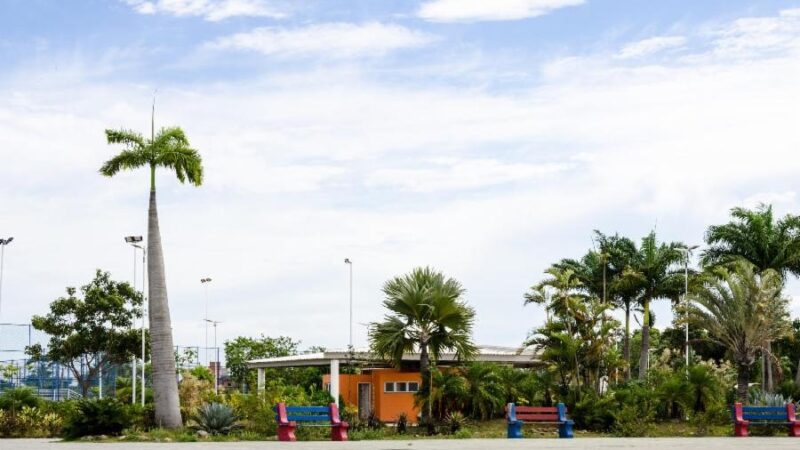 Parque da Cidade será palco de um dia especial dedicado às mães atípicas e suas famílias