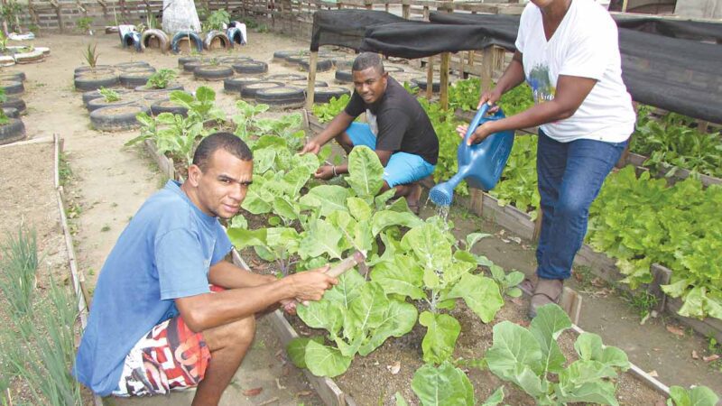 Mais de 2.700 pessoas foram atendidas no Centro Pop em janeiro de 2025