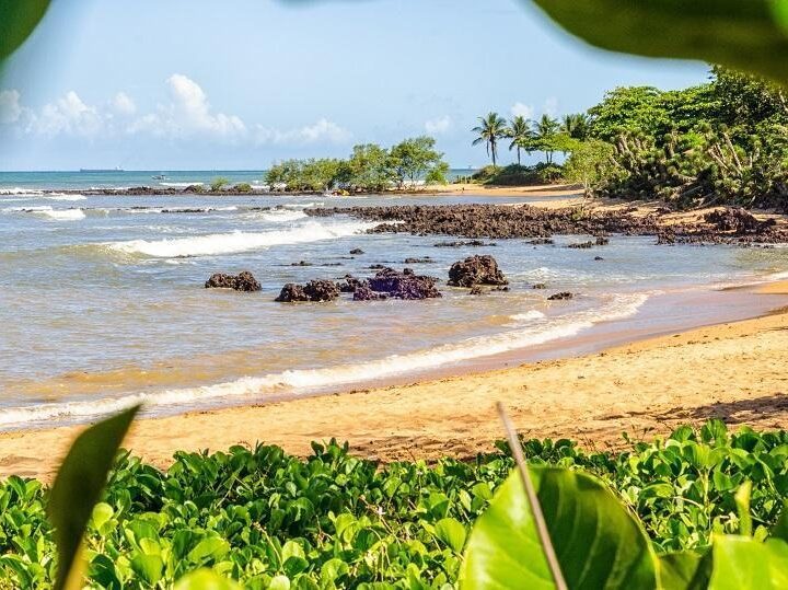 Serra vira protagonista e lidera ranking de destinos turísticos do Estado