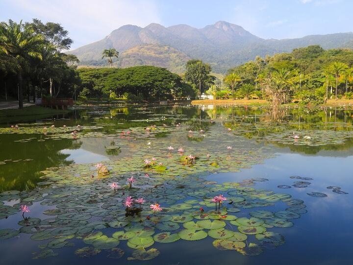 Feriadão na Serra tem parques como alternativa de lazer e contato com a natureza