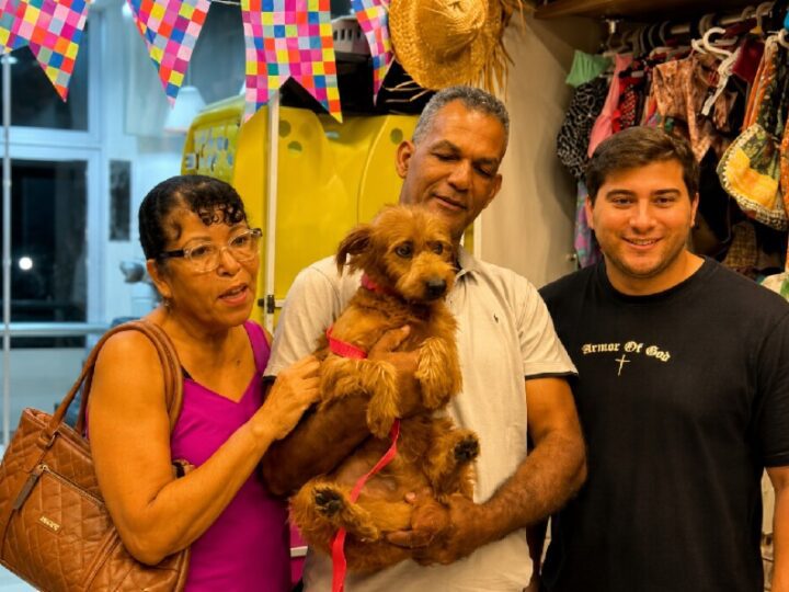 Ação de adoção responsável encontra novos lares para oito animais na Serra