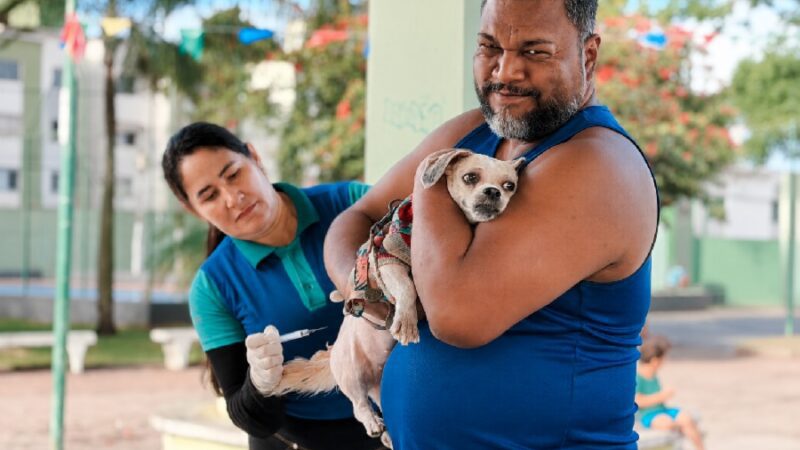 Serra encerra campanha antirrábica com mais de 57 mil animais vacinados