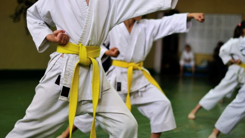 Arena de verão recebeu campeonato importante de Karatê