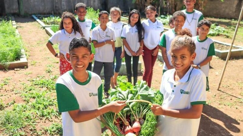 Cultivando saúde e sustentabilidade: horta escolar e iniciativa com sementes envolve a garotada em saladas e na conservação da natureza