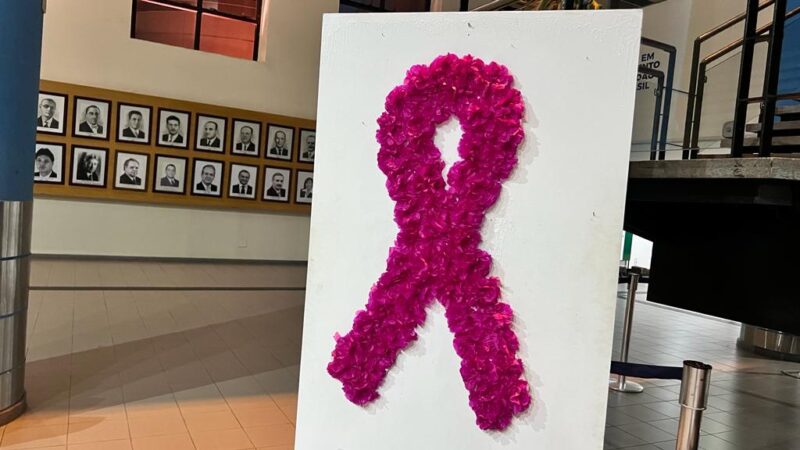 A Assembleia Legislativa participa ativamente na campanha de conscientização e combate ao câncer de mama