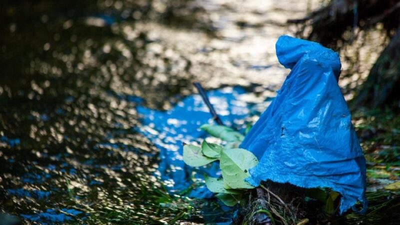 Programa “Lixo Fora D’Água” chega a Manguinhos e à Lagoa do Juara neste domingo (26)