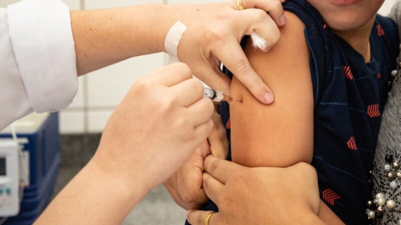 Disponíveis novas vagas on-line para vacinação contra influenza e dengue a partir de segunda-feira (29)