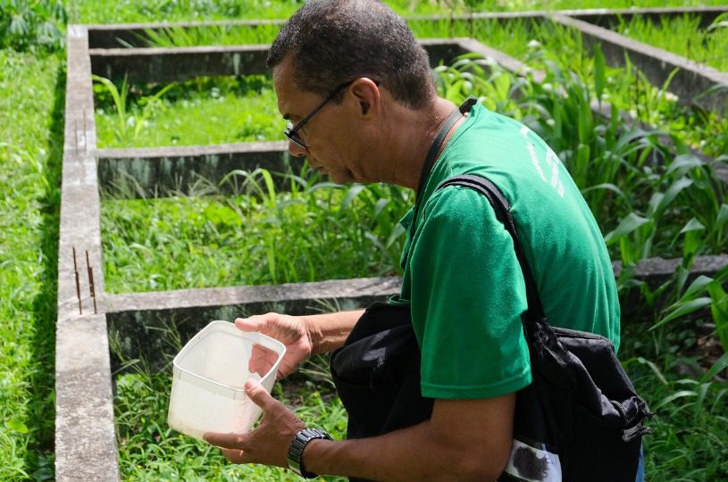 Serra inicia Levantamento da Infestação do Mosquito Aedes aegypti