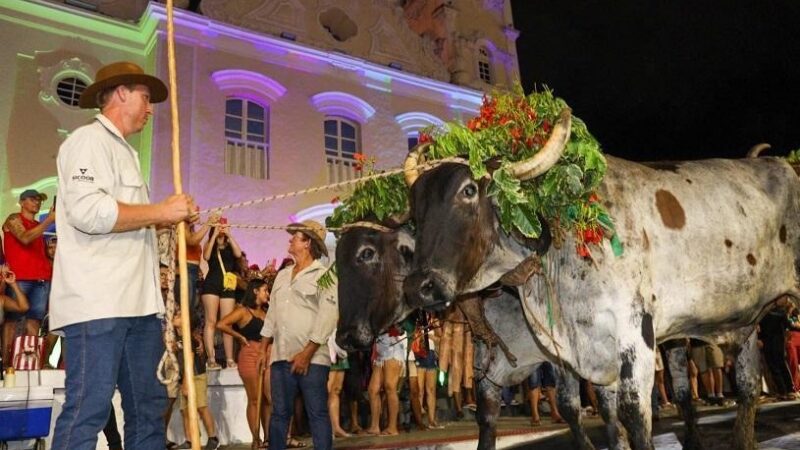 Festa de São Benedito, símbolo da cultura local, começa no próximo domingo (15)