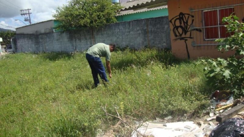 Vigilância Ambiental emite alerta sobre os riscos do caramujo africano