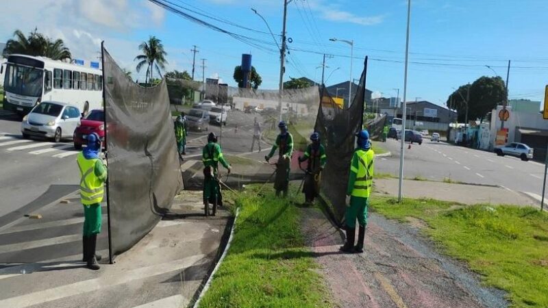 Secretaria de Serviços acelera ações de poda e roçada no município