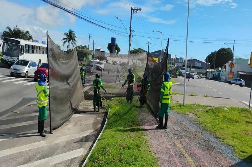 Secretaria de Serviços acelera ações de poda e roçada no município