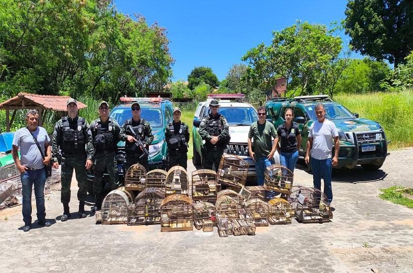 Fiscalização atua em Vila Nova de Colares e aplica multa por apreensão de aves