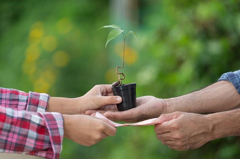 Serra avança na otimização do licenciamento ambiental