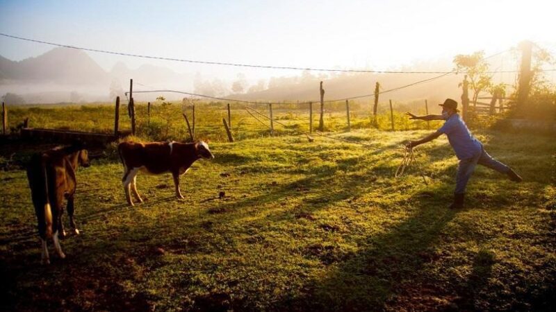 Seap marca presença em evento para fortalecer a agricultura no Espírito Santo