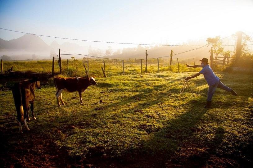 Seap marca presença em evento para fortalecer a agricultura no Espírito Santo